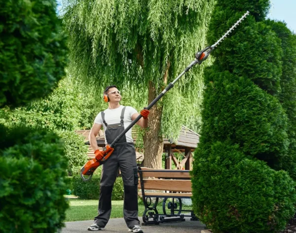 8d19af867e3f5c4487d803acac05eeecf1e1a7e7